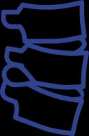 Herniated Discs